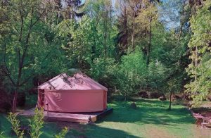 PicsArt_05-12-09.04.00 (2)